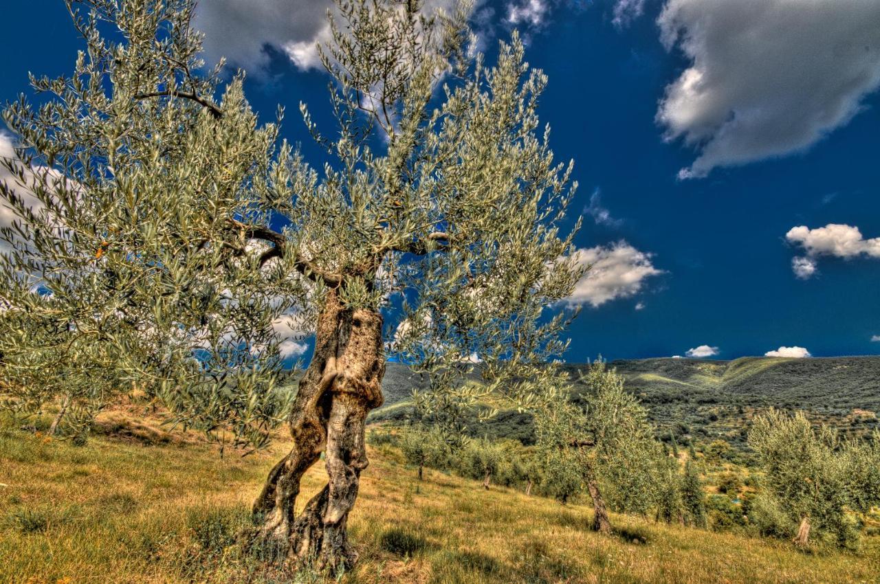 Borgo Solamore Hotel Cortona Bagian luar foto