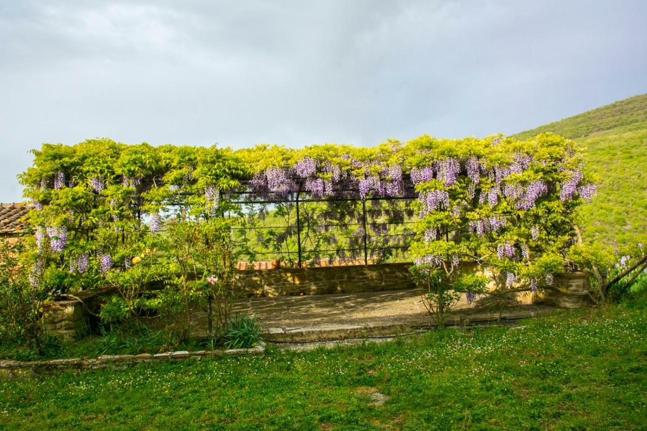Borgo Solamore Hotel Cortona Bagian luar foto